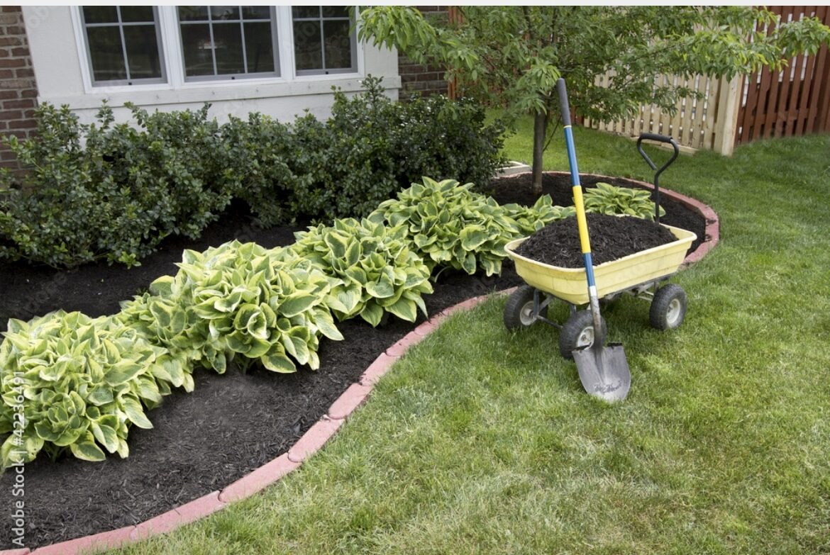Manicured lawn and grounds maintenance